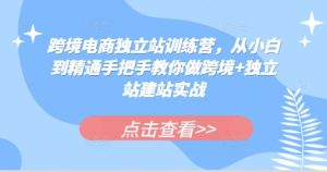 跨境电商独立站训练营，从小白到精通手把手教你做跨境+独立站建站实战-KJ分享