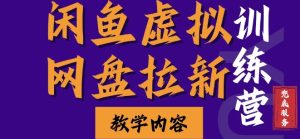 闲鱼虚拟网盘拉新训练营,两天快速人门,长久稳定被动收入,要在没有天花板的项目里赚钱-KJ分享