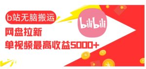 视频无脑搬运b站网盘拉新，单视频最高收益5k+-KJ分享