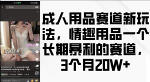 成人用品赛道新玩法,情趣用品一个长期暴利的赛道,3个月收益20个-KJ分享
