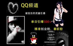 QQ频道:被低估的流量巨兽,单日引爆500+精准创业粉、兼职粉的引流秘籍-KJ分享