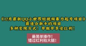 12月最新QQ小世界短视频暴力起号项目,最适合新手的项目,多种变现方式-KJ分享