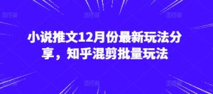 小说推文12月份最新玩法分享,知乎混剪批量玩法-KJ分享