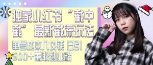 最新小红书截流玩法 独家截中截 单号成本几块钱 日引500+CY粉JZ粉-KJ分享