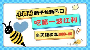 小黄书重磅来袭，新平台新风口，管理宽松，半天轻松涨3000粉，第一波红利等你来吃-KJ分享