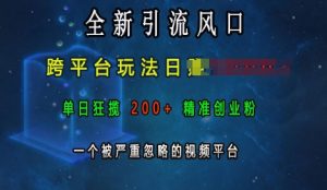 全新引流风口，跨平台玩法日入上k，单日狂揽200+精准创业粉，一个被严重忽略的视频平台-KJ分享