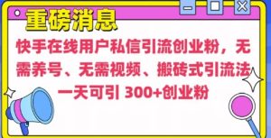 快手最新引流创业粉方法，无需养号、无需视频、搬砖式引流法-KJ分享