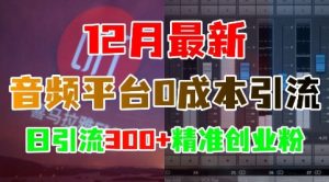 12月最新:音频平台0成本引流,日引流300+精准创业粉-KJ分享