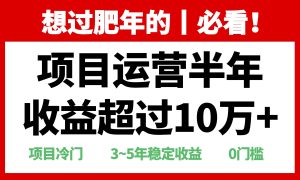 年前过肥年的必看的超冷门项目,半年收益超过10万+,-KJ分享