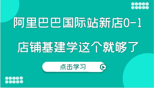 阿里巴巴国际站新店0-1,个人实践实操录制从0-1基建,店铺基建学这个就够了-KJ分享