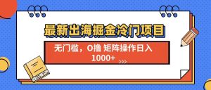 最新出海掘金冷门项目,单号日入1000+-KJ分享
