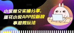 小说推文实操分享,蛋花小说APP拉新故事混剪玩法-KJ分享
