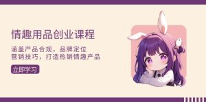 情趣用品创业课程:涵盖产品合规,品牌定位,营销技巧,打造热销情趣产品-KJ分享