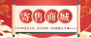 一部手机，一天几分钟，小白轻松日入上千，月入10万+，纯信息项目-KJ分享