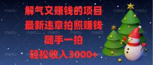 解气又赚钱的项目，最新违章拍照赚钱，随手一拍，轻松收入3000+-KJ分享