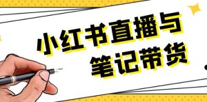 小红书直播与笔记带货：选品、上架、笔记写作、视频剪辑及直播话术等-KJ分享