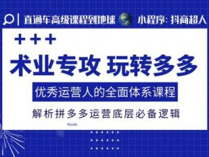 术业专攻玩转多多，优秀运营人的全面体系课程，解析拼多多运营底层必备逻辑-KJ分享