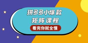 拼多多爆款矩阵课程：教你测出店铺爆款，优化销量，提升GMV，打造爆款群-KJ分享