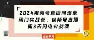 2024视频号直播间爆单闭门实战营，视频号直播间3天闪电实战课-KJ分享