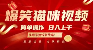 爆笑猫咪视频:简单操作,日入过K,视频号搞钱新策略-KJ分享