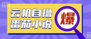 首发云手机自撸小说玩法，10块钱成本可撸200+收益操作简单-KJ分享