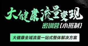 千万级大健康变现课线下课，大健康全域流量一站式整体解决方案-KJ分享