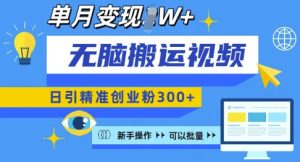 无脑搬运视频号可批量复制,新手即可操作,日引精准创业粉300+,月变现过W-KJ分享
