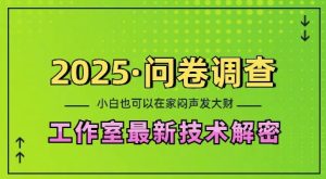 2025问卷调查最新工作室技术解密:一个人在家也可以闷声发大财,小白一天2张,可矩阵放大-KJ分享