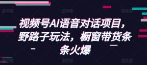 视频号AI语音对话项目，野路子玩法，橱窗带货条条火爆-KJ分享