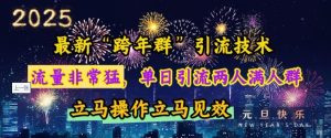 最新“跨年群”引流,流量非常猛,单日引流两人满人群,立马操作立马见效-KJ分享