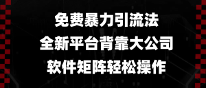 免费暴力引流法，全新平台，背靠大公司，软件矩阵轻松操作-KJ分享