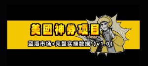 美团神券神会员_入门级教程,外卖券膨胀推广项目【全网首发,全新蓝海】-KJ分享