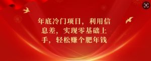 年底冷门项目，利用信息差，实现零基础上手，轻松赚个肥年钱-KJ分享