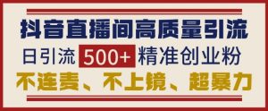 抖音直播间引流创业粉，无需连麦、不用上镜、超暴力，日引流500+高质量精准创业粉-KJ分享