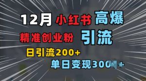 小红书一张图片“引爆”创业粉，单日+200+精准创业粉 可筛选付费意识创业粉-KJ分享