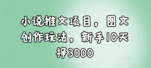 小说推文项目,图文创作玩法,新手10天挣3000-KJ分享