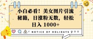 小白必看，美女图片引流秘籍，日涨粉无数，轻松日入几张-KJ分享