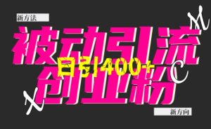 创业粉暴力引流,全平台玩法,一个视频引300+,找对方法和方向,干就行了-KJ分享