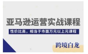 亚马逊运营实战课程，亚马逊从入门到精通，性价比高，相当于市面万元以上元课程-KJ分享