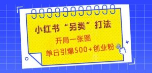 小红书“另类”打法，开局一张图，单日引爆500+精准创业粉-KJ分享