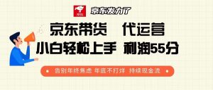 京东带货 代运营 利润55分 告别年终焦虑 年底不打烊 持续现金流-KJ分享