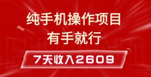 纯手机操作的小项目，有手就能做，7天收入2609+实操教程-KJ分享