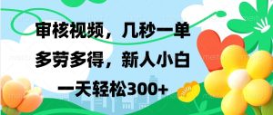 审核视频，几秒一单，多劳多得，新人小白一天轻松300+-KJ分享