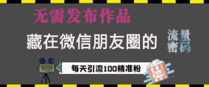 藏在微信朋友圈的流量密码，无需发布作品，单日引流100+精准创业粉-KJ分享