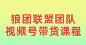 狼团联盟2024视频号带货，0基础小白快速入局视频号-KJ分享
