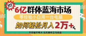6亿群体蓝海市场，零经验小白用一台电脑，如何轻松月入过w-KJ分享