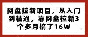 网盘拉新项目,从入门到精通,靠网盘拉新3个多月搞了16W-KJ分享
