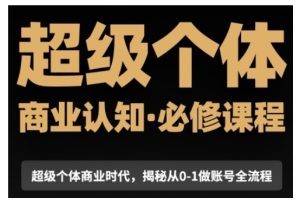 超级个体商业认知觉醒视频课，商业认知·必修课程揭秘从0-1账号全流程-KJ分享