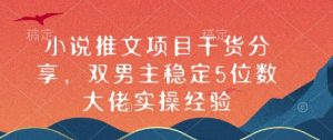 小说推文项目干货分享,双男主稳定5位数大佬实操经验-KJ分享