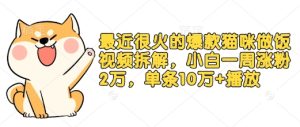 最近很火的爆款猫咪做饭视频拆解，小白一周涨粉2万，单条10万+播放(附保姆级教程)-KJ分享